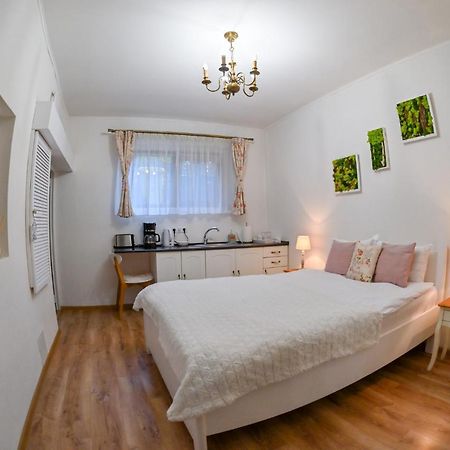 Transilvania Apartment ซีบิว ภายนอก รูปภาพ