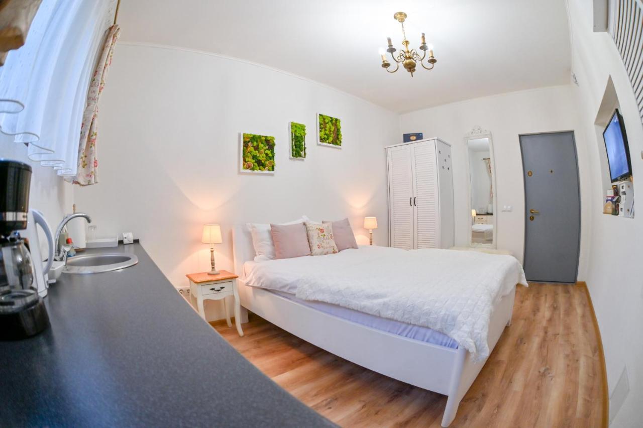 Transilvania Apartment ซีบิว ภายนอก รูปภาพ